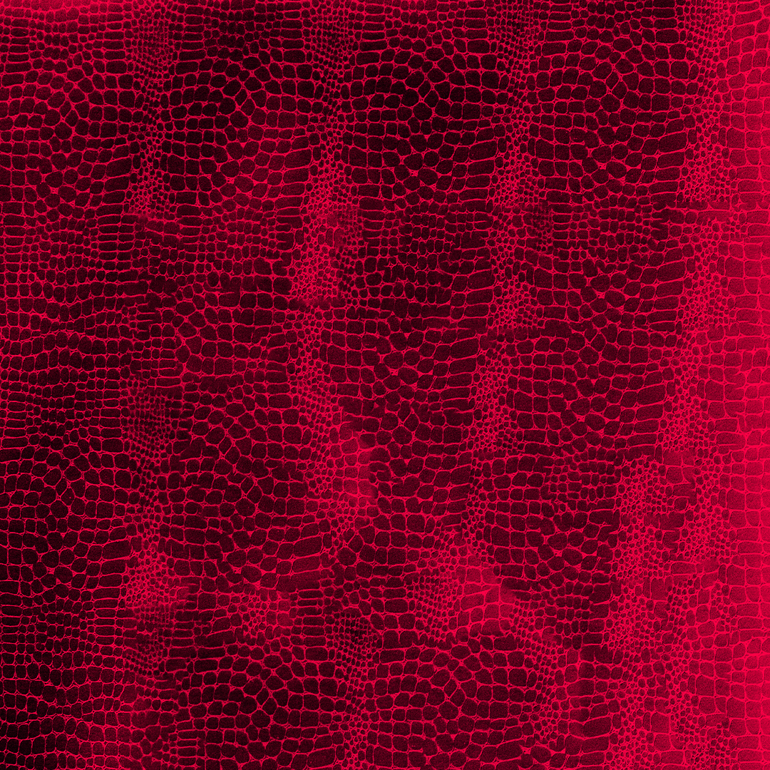 Prägepapier Croco Red 787 x 1092 mm