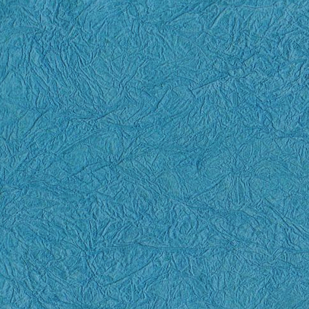 Paper Turtle Skin Blueish